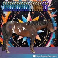 Horse Color:White Spotted Liver Chestnut 