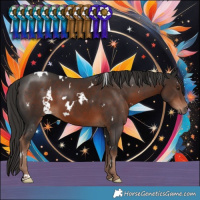 Horse Color:White Spotted Liver Chestnut 