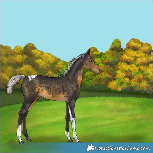 Horse Color:Silver Buckskin Tobiano 