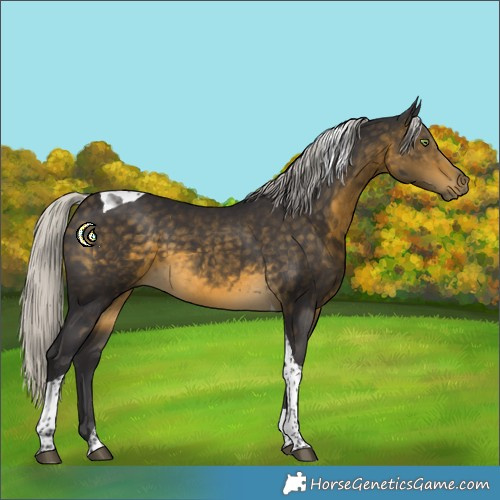 Horse Color:Silver Buckskin Tobiano 