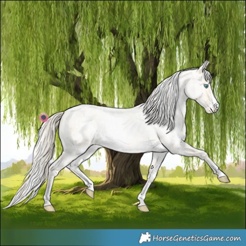 Horse Color:Palomino Roan Pearl  and Gold Cream Champagne Roan Pearl 