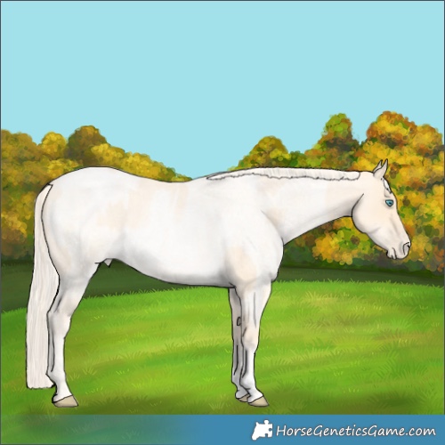 Horse Color:Palomino Roan Pearl  and Palomino Roan Pearl 