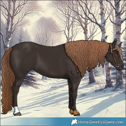 Horse Color:Liver Chestnut 