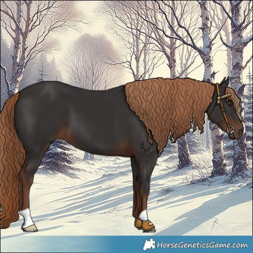 Horse Color:Liver Chestnut 
