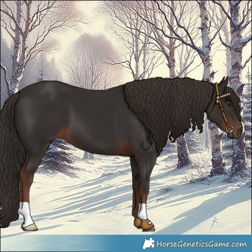 Horse Color:Liver Chestnut 