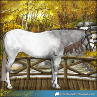 Horse Color:Liver Red Roan Blanket 