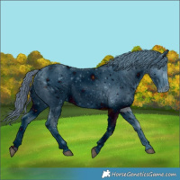 Horse Color:ERROR: UNKNOWN ANOMALY