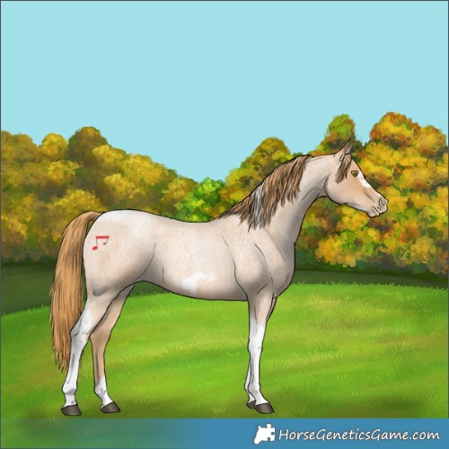 Horse Color:Red Roan Pearl Tobiano Frame 