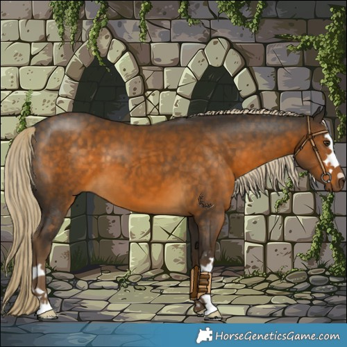 Horse Color:Chocolate Palomino 