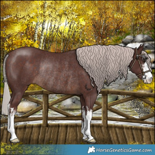 Horse Color:White Spotted Chocolate Silver Brown Rabicano 
