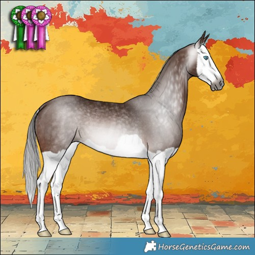 Horse Color:Gray Bay Splash Rabicano 
