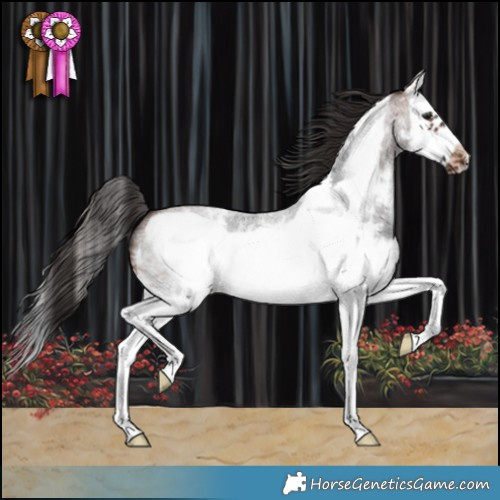 Horse Color:Brown Roan Sabino Splash Frame Varnish 