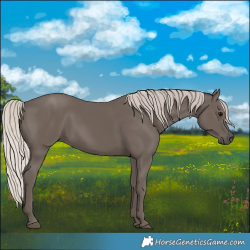 Horse Color:Silver Black 