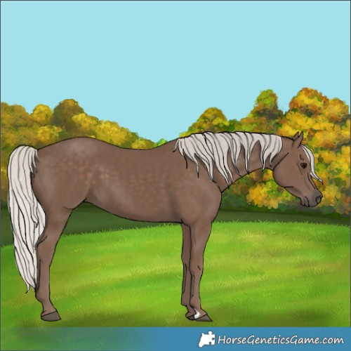 Horse Color:Silver Black 