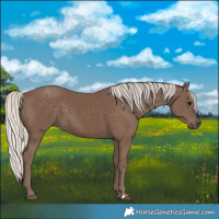 Horse Color:Silver Black 