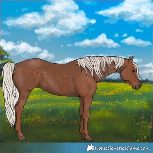 Horse Color:Silver Black 