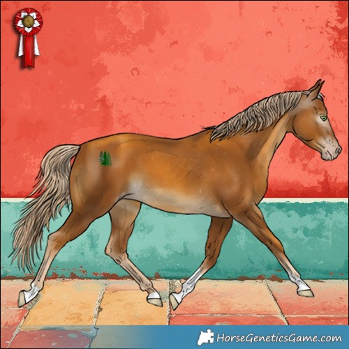 Horse Color:Gray Gold Cream Champagne Tobiano Appaloosa
