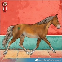 Horse Color:Gray Gold Cream Champagne Tobiano Appaloosa 