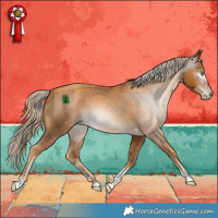 Horse Color:Gray Gold Cream Champagne Tobiano Appaloosa