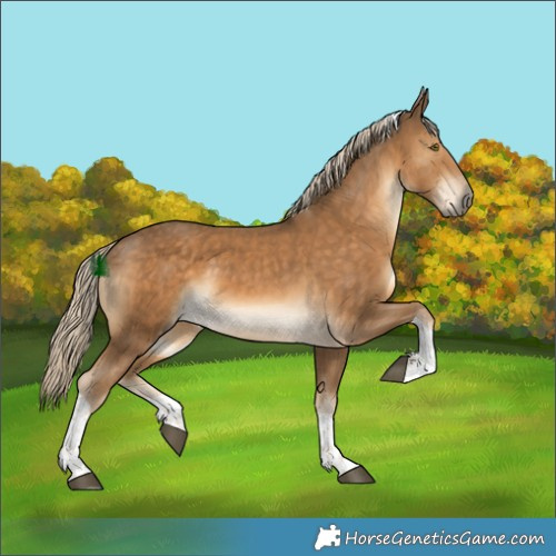 Horse Color:Chocolate Palomino Tobiano 