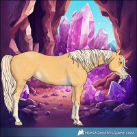 Horse Color:Gold Cream Champagne Splash 