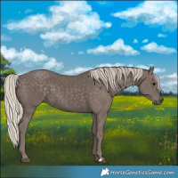 Horse Color:Silver Black 