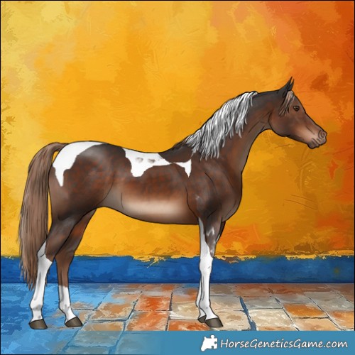 Horse Color:Liver Chestnut Tobiano 