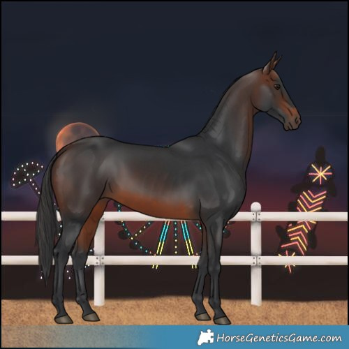 Horse Color:Brown 