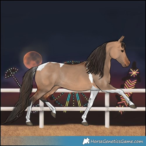 Horse Color:Bay Dun Tobiano Rabicano 