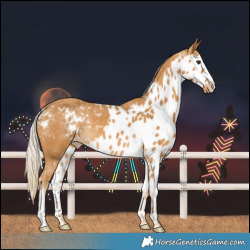 Horse Color:Palomino Skewed LP Spotted 