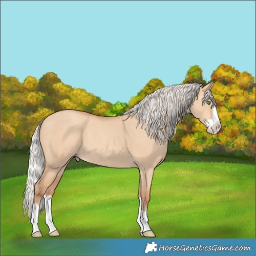 Horse Color:Silver Amber Champagne Dun Splash