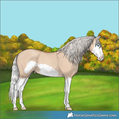 Horse Color:Silver Classic Champagne Dun Splash Frame 