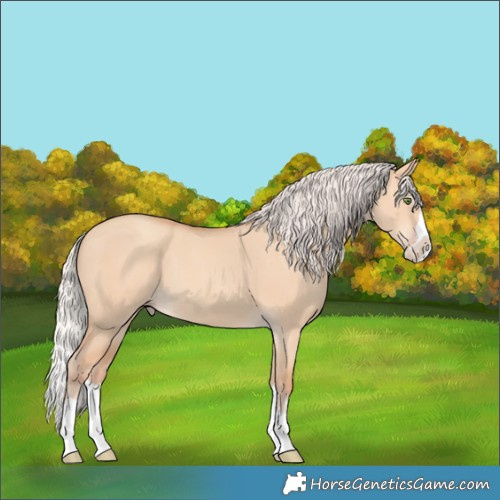 Horse Color:Silver Amber Champagne Dun Splash