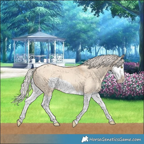 Horse Color:Silver Classic Champagne Dun Splash Frame 