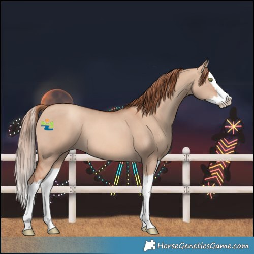 Horse Color:Gold Champagne Dun Splash 