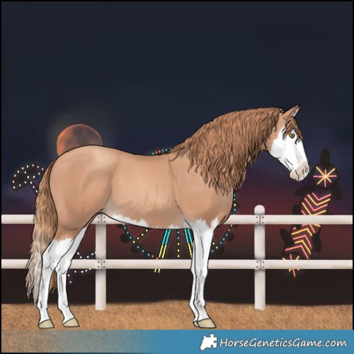 Horse Color:Gold Champagne Splash 