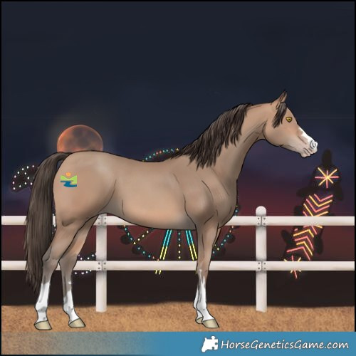 Horse Color:Amber Champagne 