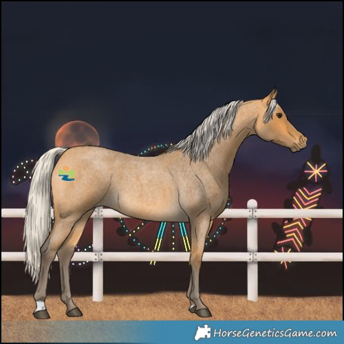 Horse Color:Silver Buckskin Roan 