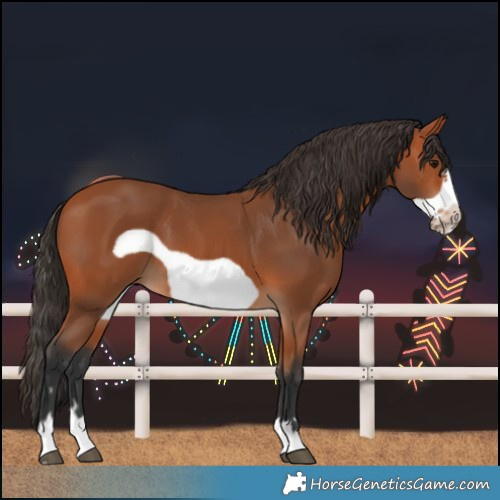 Horse Color:Bay Frame 