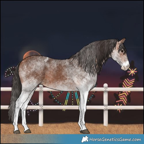 Horse Color:White Spotted Bay 