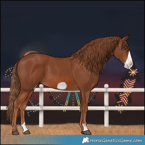 Horse Color:Chestnut Frame 