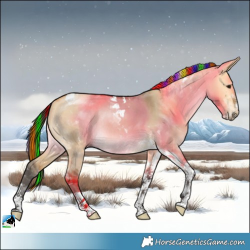 Horse Color:Painted Buckskin Dun Tobiano Rabicano 