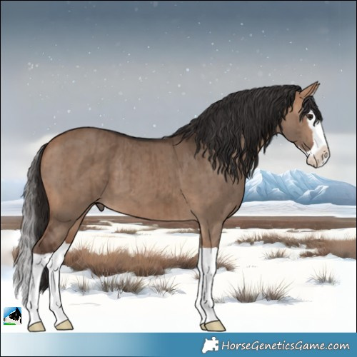 Horse Color:Bay Dun Splash Brindle 
