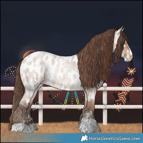 Horse Color:Amber Champagne Roan Near Leopard 