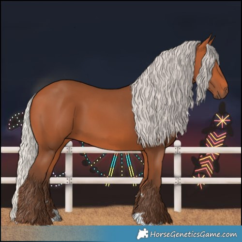 Horse Color:Silver Bay Rabicano 