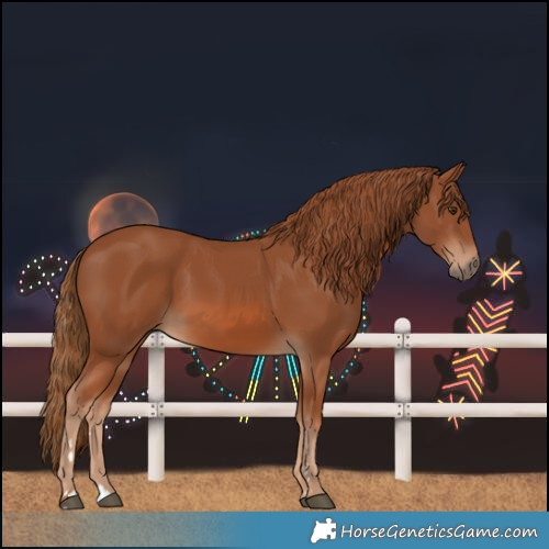 Horse Color:Chestnut 