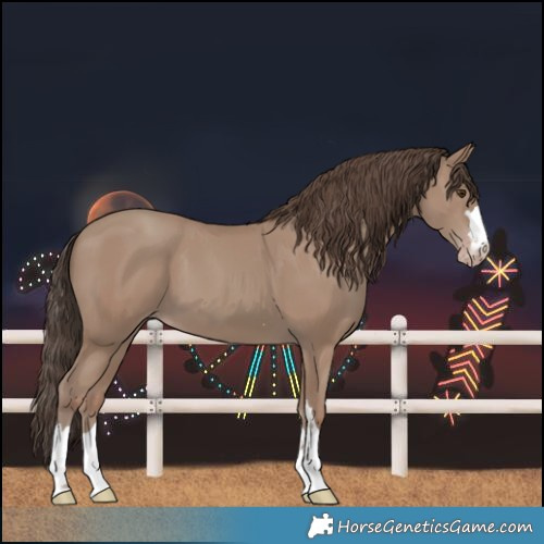 Horse Color:Classic Champagne 