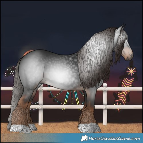 Horse Color:Gray Liver Chestnut 