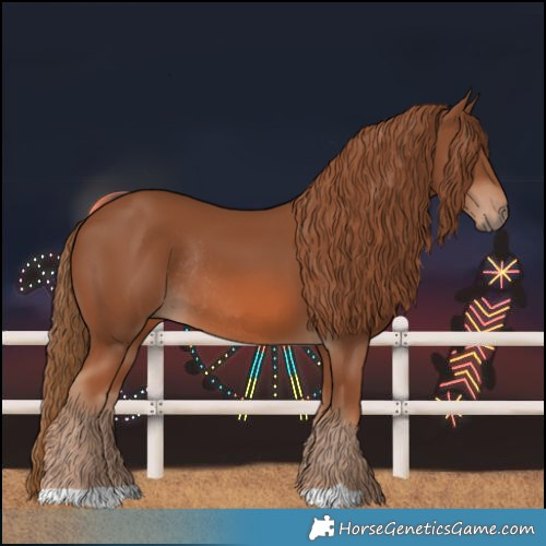 Horse Color:Chestnut Rabicano 