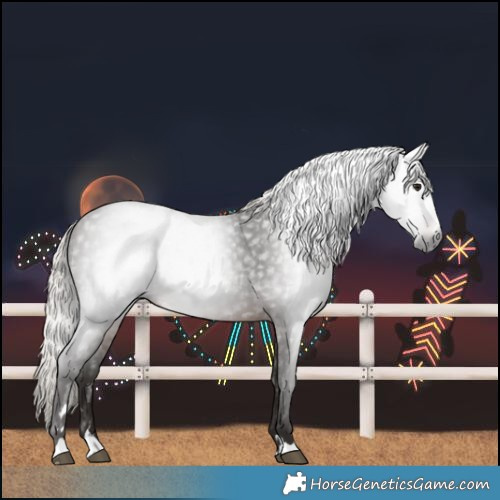 Horse Color:Gray Silver Brown 